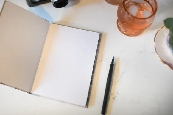 Casino Mr Vegas Stuðningur